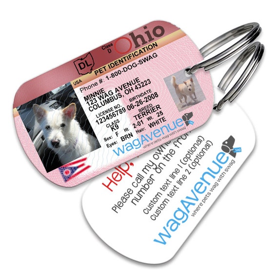 Ohio Driver's License Pet Tag Personalized Pet Tag by WagAvenue