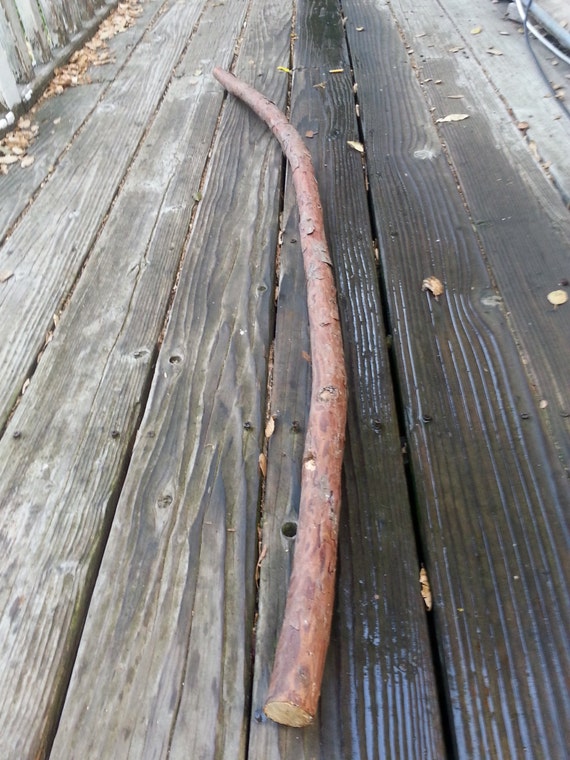 cedar wood cedar walking stick wood natural cedar branch
