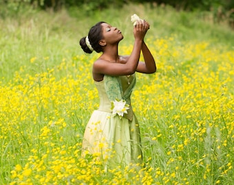 Tiana / Princess / frog / Frog (Disney adaptation)