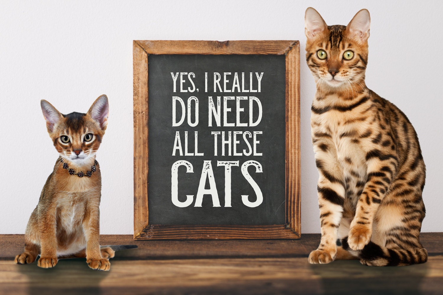 Cat Print Cat Quote Cat Quote Printable Printable Art