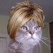 Christy H