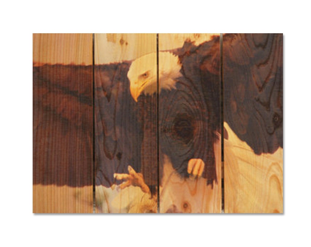 Bald Eagle Wood Art Wall Hanging 22x16 Wildlife