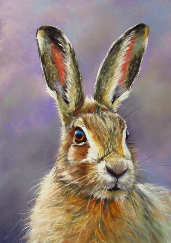 Hare Original Pastel Painting by SueOrreyGoddenArtist on Etsy