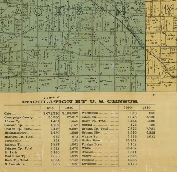 Champaign County Ohio 1894 Wall Map Reprint with by Oldmap