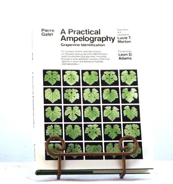 Grapevine Identification A Practical Ampelography By Pierre