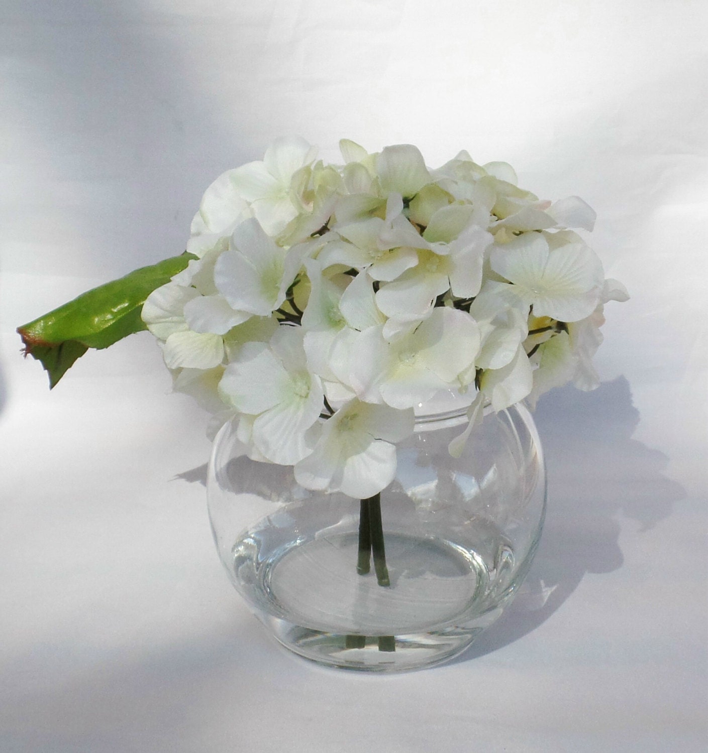 White Hydrangea Bloom Set in a Clear Glass Round Bubble Vase