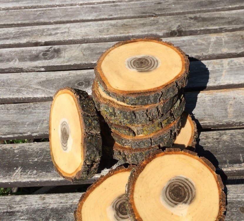 10 Black Walnut Log Slice Wood coasters by