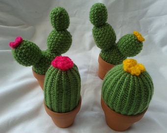 Cactus pin cushion/ Earring tidy/Mothers Day gift /sewing aid / Gardeners gift / birthday gift