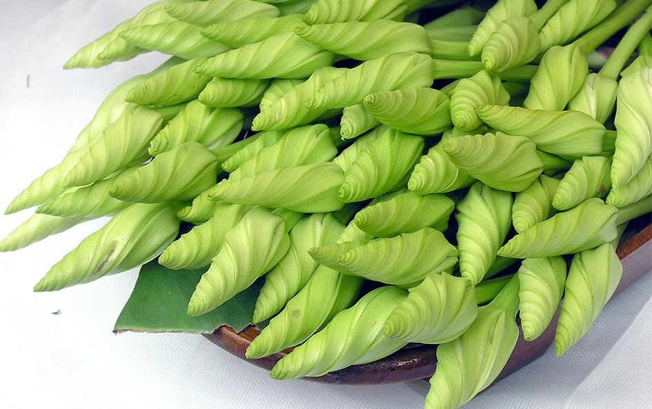 5 Giant White Moonflower ipomoea alba edible fragrant night