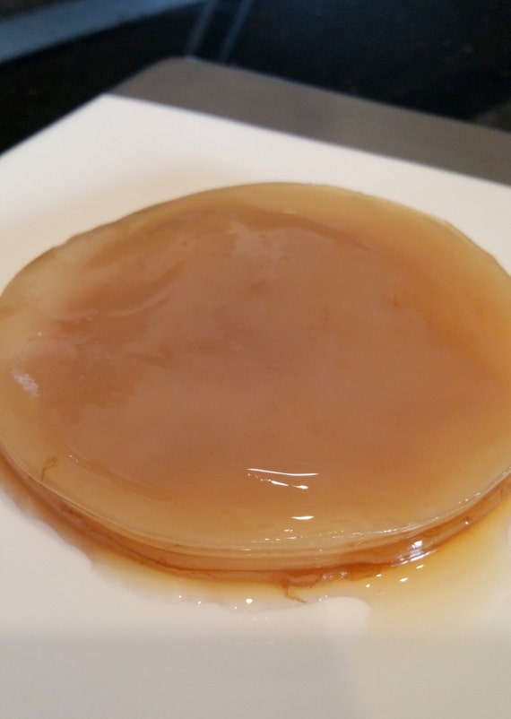 Kombucha Scoby Wstarter Mushroom Mother 4 By Anythinghealthy