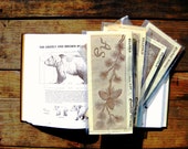 Vintage Leather Lot -  4 1950's Craftaid Billfold Patterns with Original Leather