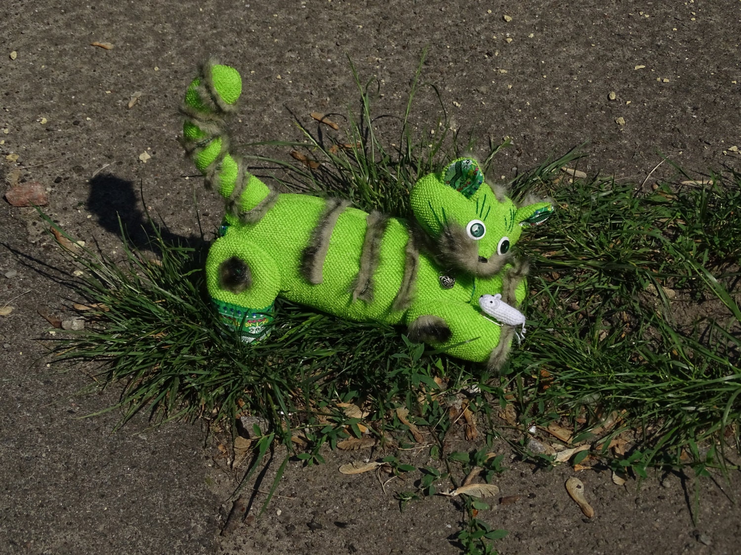 The Cat Called Salad.