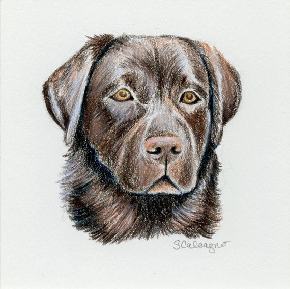 Crayon chien Dog Lover cadeau Original dessin Art de Labrador