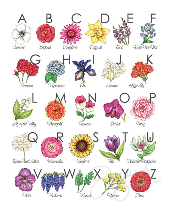 Floral Illustration Alphabet Art Print by joannabaker on Etsy