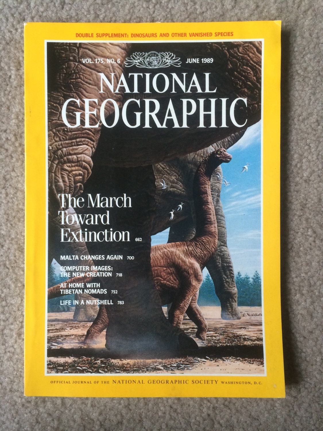 National Geographic Magazine June 1989 by EllieMarieVintage