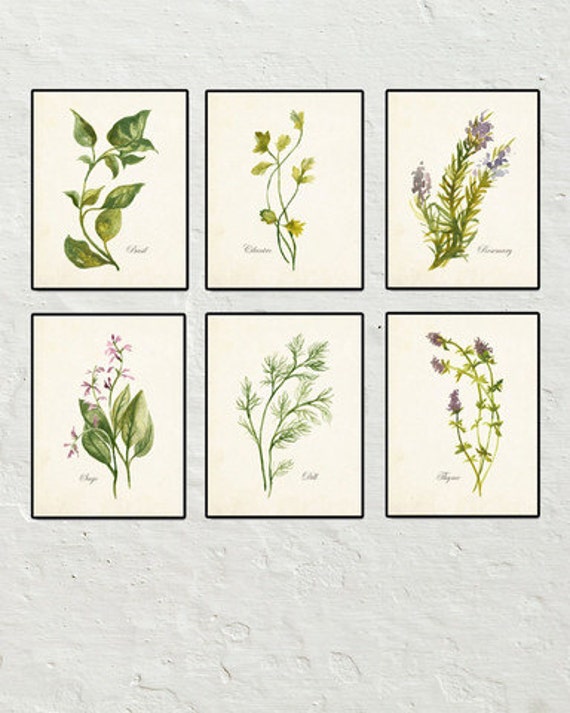 Watercolor Herbs Print Set 2 Botanical Print by BelleMaisonArt