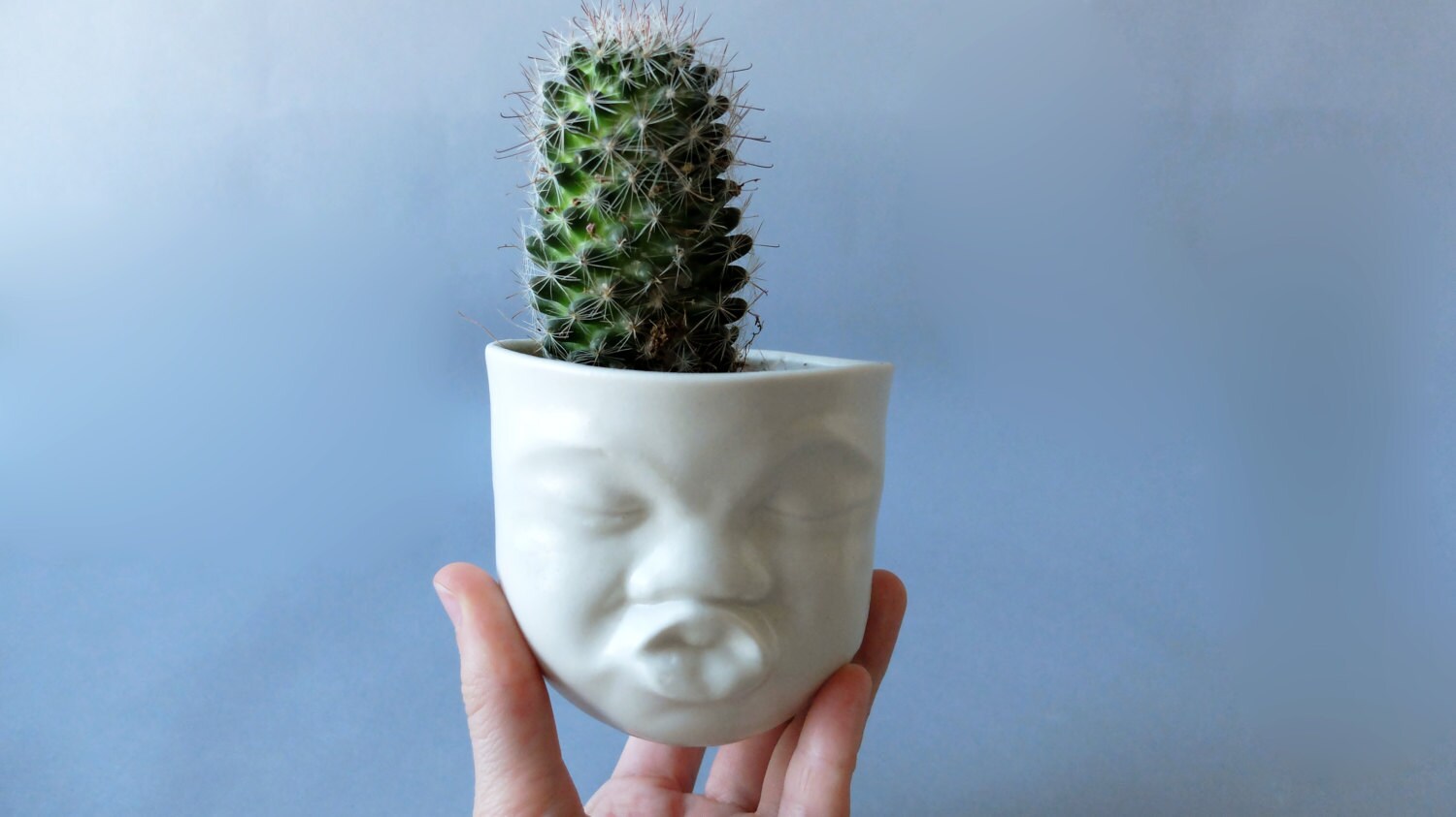 Small ceramic planter head planter funny planter face