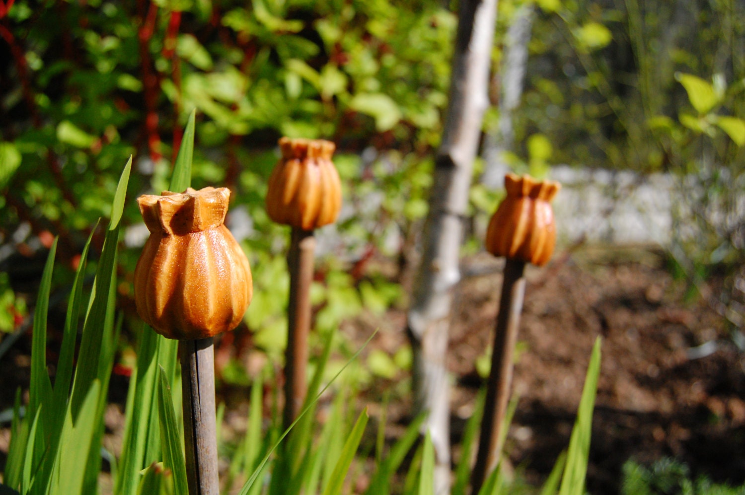 3 x Poppy Seed Head Garden Cane Toppers Hand Carved In Wood