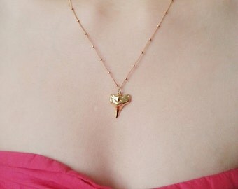 Gold Shark tooth Necklace, 22kt gold Shark Tooth, Dainty Shark tooth Necklace,Shark tooth Pendant,Layer Shark Tooth,Shark Tooth Jewelry