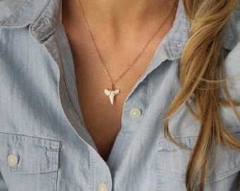 Genuine Shark Tooth Necklace // 14k Gold Fill Necklace // Delicate Shark Tooth
