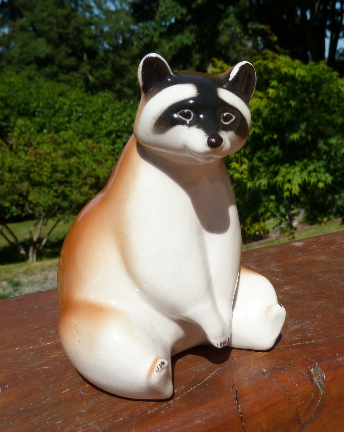 lomonosov racoon
