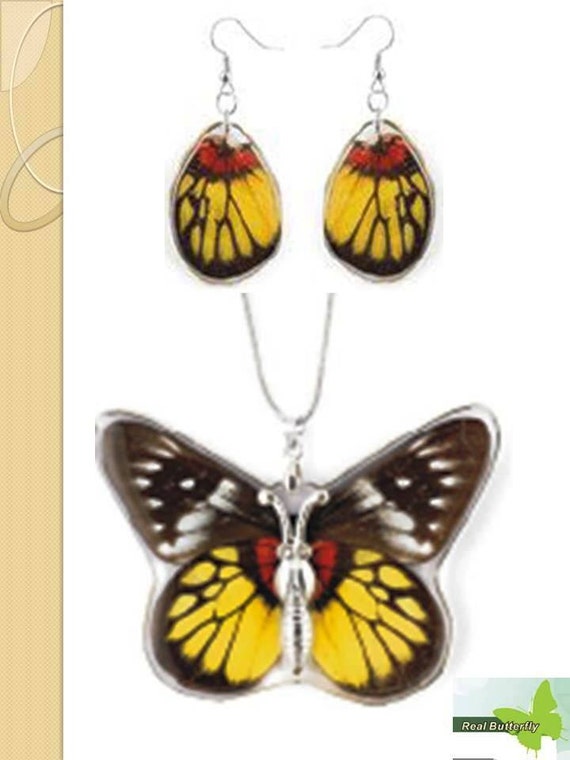 Butterfly make set Earrings  how Real Necklace resin Beautiful wings and butterfly to