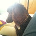 Maggie