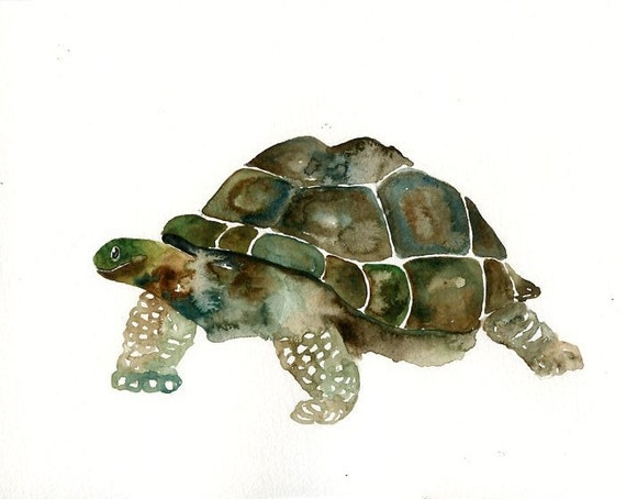 GALAPAGOS TORTOISE Original watercolor painting 10x8inch