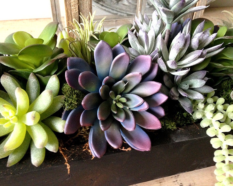 Faux succulent centerpiece succulent plants faux succulents