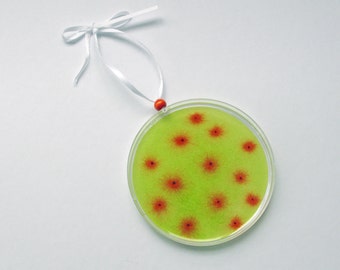 Petri Dish Ornament G5 : Green With Orange Bacteria