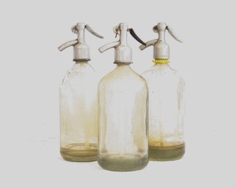 Antique Decorative Seltzer Bottle