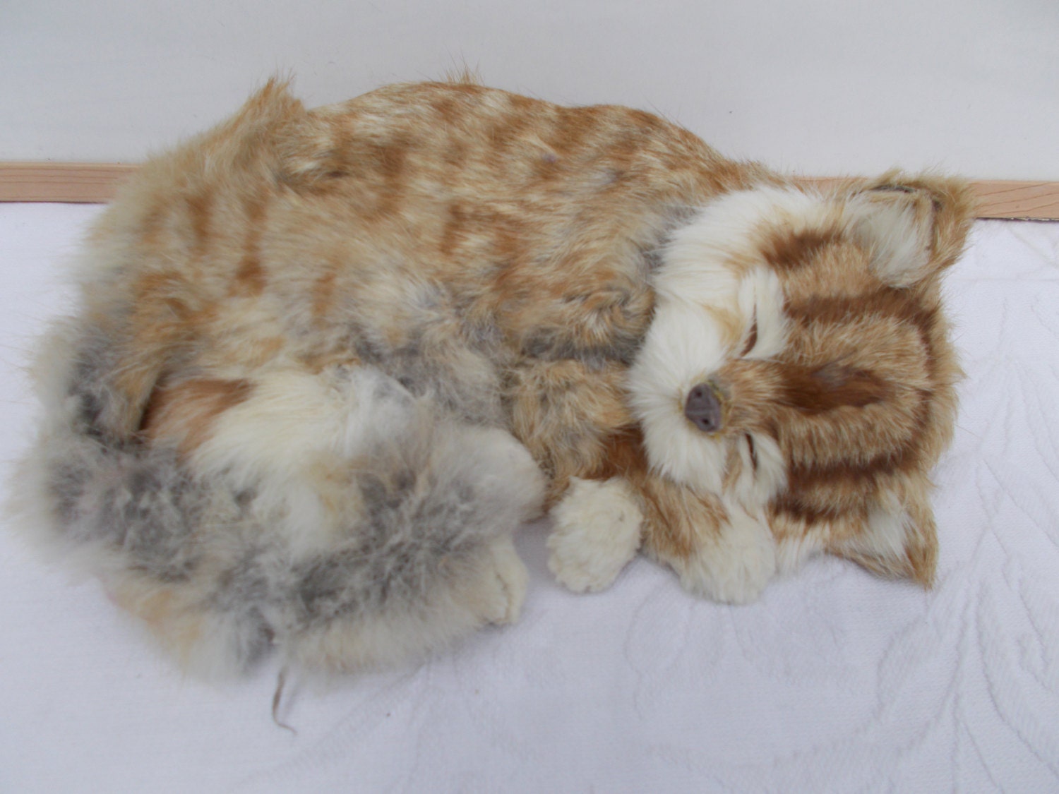 taxidermy stuffed animals