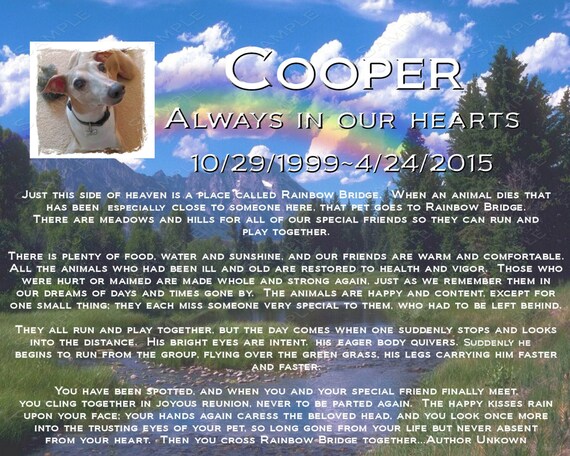 items similar to personalized pet memorial print rainbow