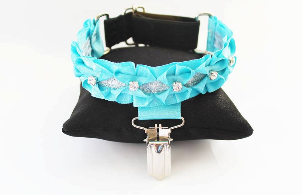 Armband for dog show / number holder / armband with clip ring