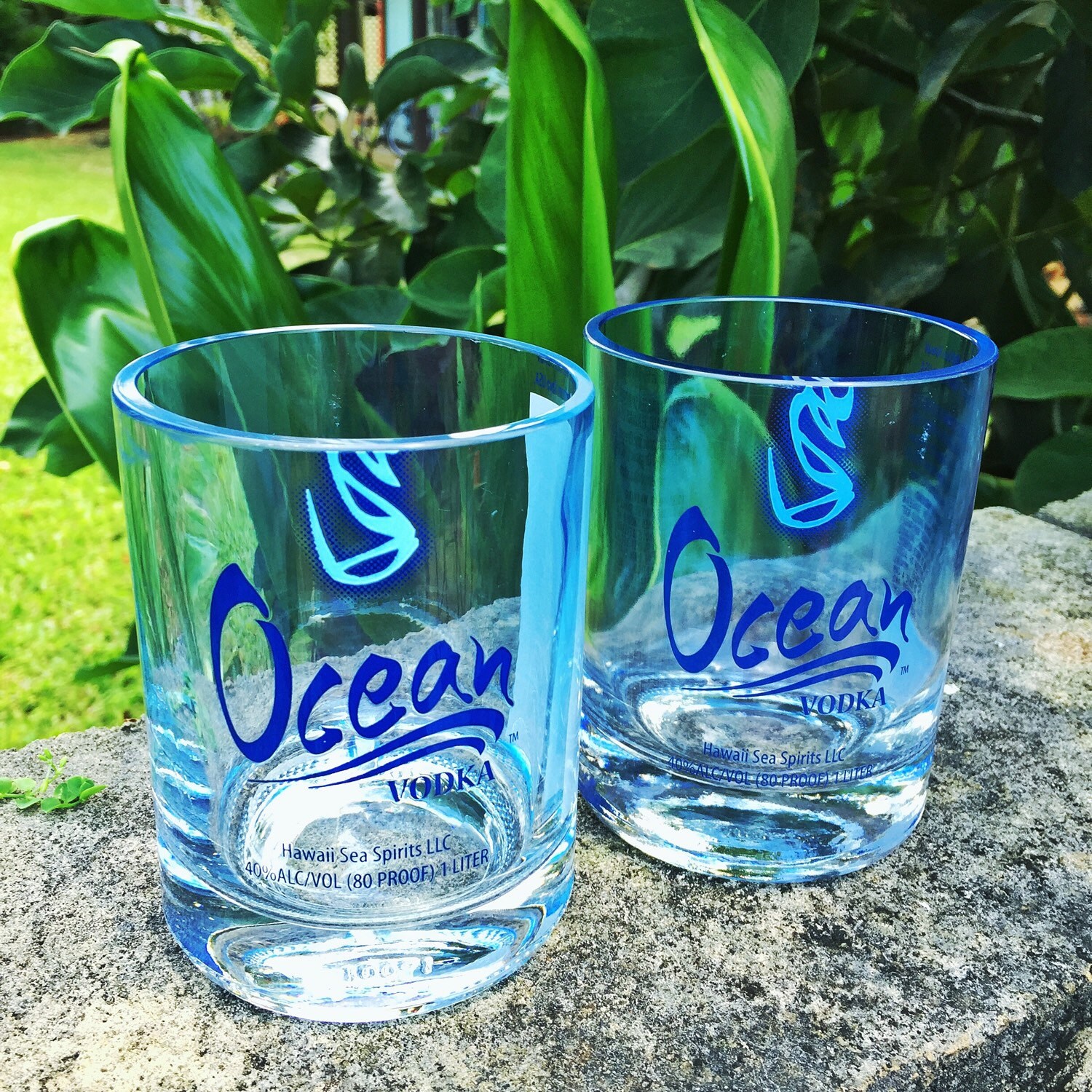 Ocean Vodka Glass set of 2