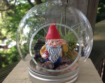 Gnome Airplant Terrarium, DIY Terrarium Kit, Airplant Terrarium, Hanging Terrarium, white elephant gift, Airplant, Children's Gift, Woodland