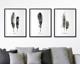 Feather watercolor art, Set of 3 feather print, Black and white print, Bird feather art, Nature art, Apartment decor, Feather poster