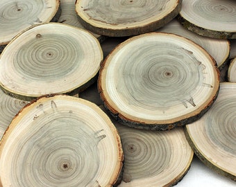 10 Birch 4 5 Wood Slices. Rustic Tree Branch Slices by exstore