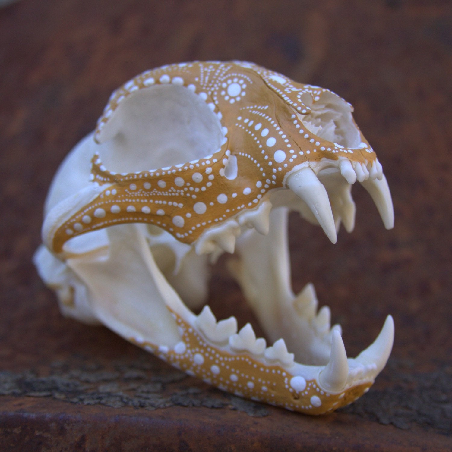 Bobcat Skull by BoneCalligraphy on Etsy