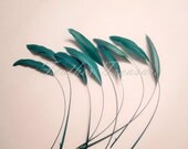 Selected Stripped Coque Feathers, Teal Green Feathers, Dark Green Feathers, Green Blue Coq Feathers, Stripped Feathers, Millinery Feathers