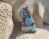 Larimar 11g Caribbean Blue and Coral Red Dolphin Polished Slab Lapidary Copper Pectolite Pendant Rough Wire Wrap Stone 55ct