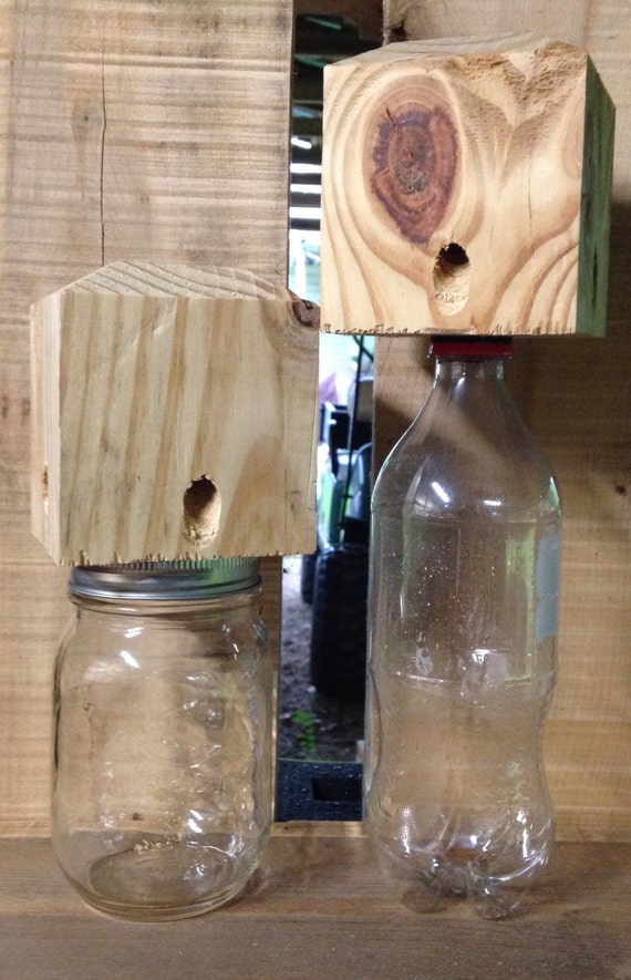 Carpenter Bee Traps....Bottle or Mason Jar (NOT INCLUDED)