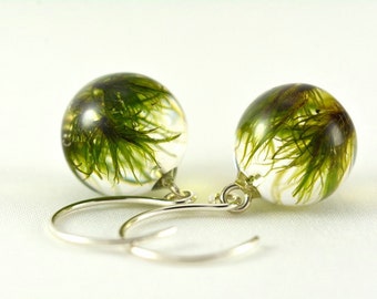 Green Earrings with Moss, Moss Jewelry, Silver Jewelry, Resin Jewelry, Green Earrings, Delicate Earrings, Silver Earrings, Moss in Resin