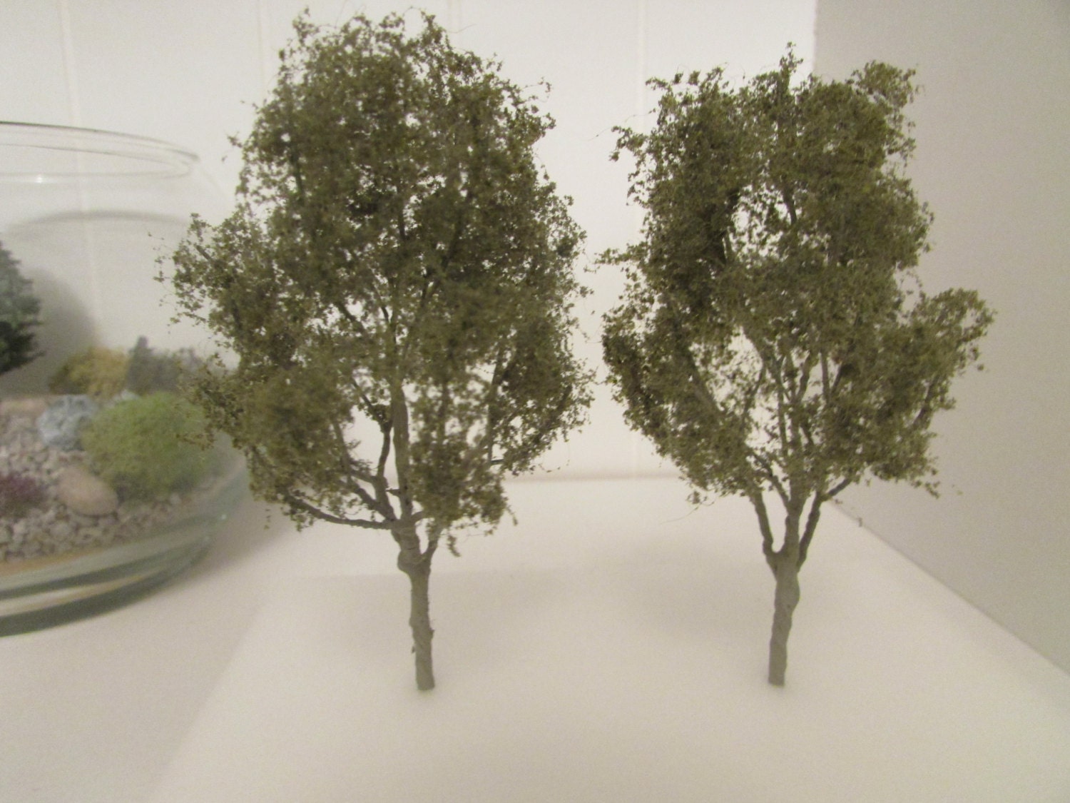 2 3 Miniature Trees Green Gum Tree Terrarium Craft