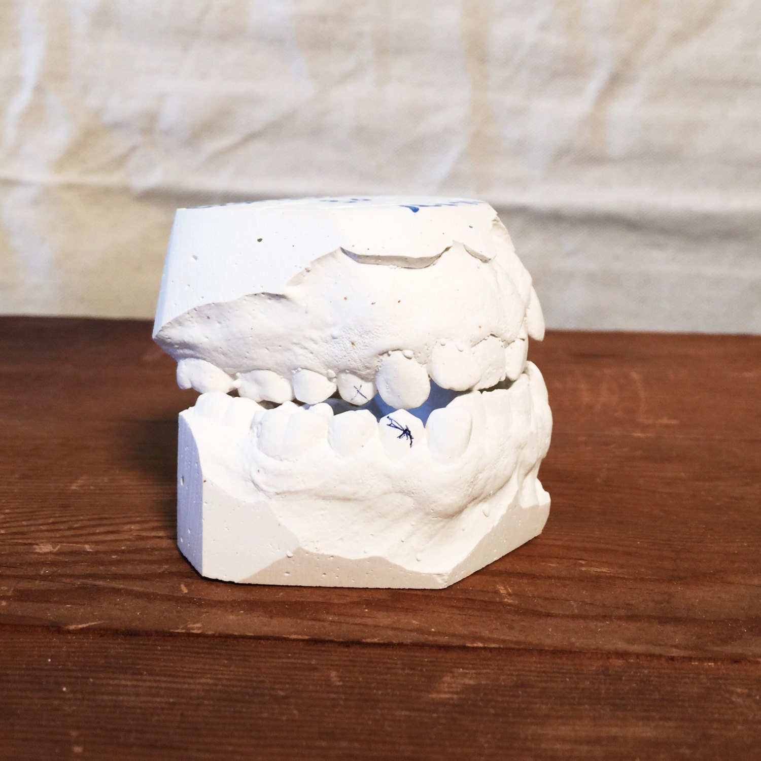 RESERVED Plaster Teeth Vintage Medical Molds Dental Molds