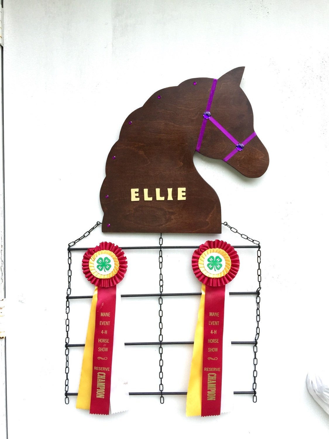 Deluxe Customized Horse Show Ribbon Display/Award 4 Ribbon