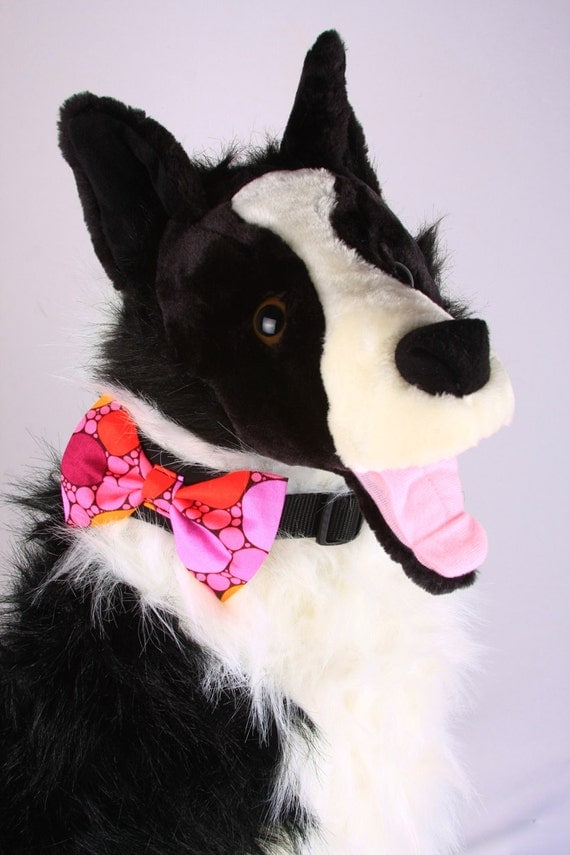 sparkly dog bow tie