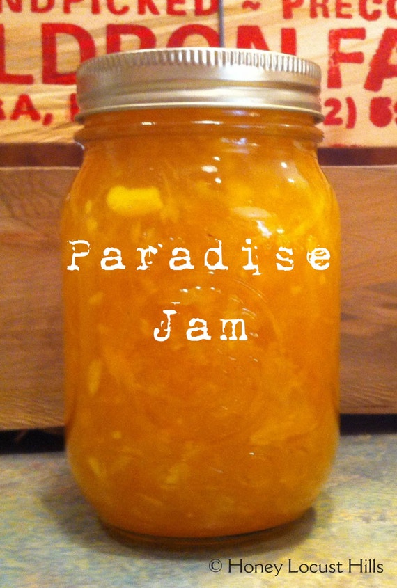 Ananas Mango Orangen Marmelade — Rezepte Suchen