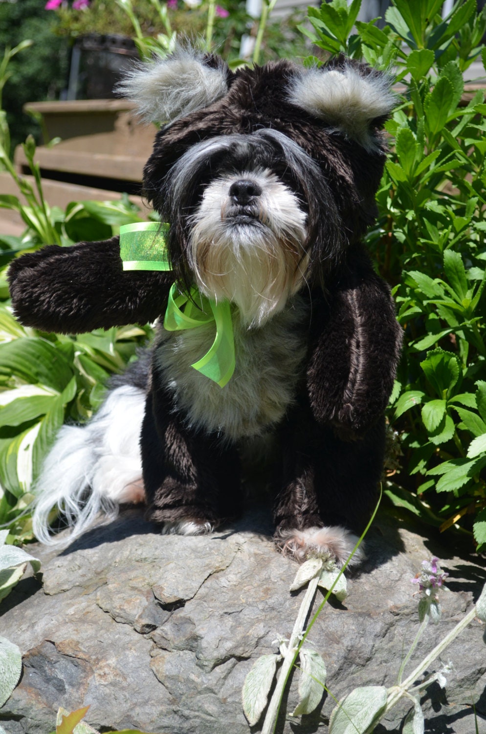 teddy bear that looks like your dog