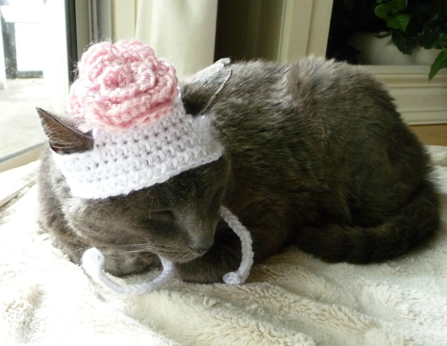 Flower Cat Hat Costume Cats and Small Dogs Pretty Kitty Spring